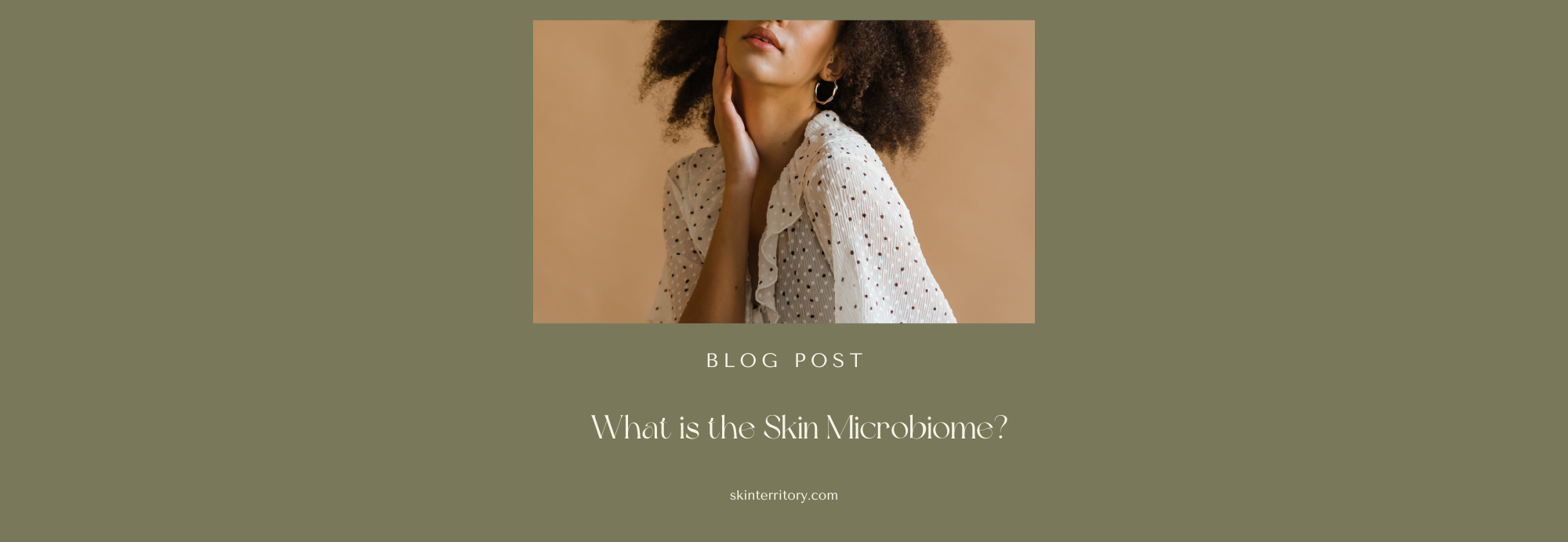What is the skin microbiome?